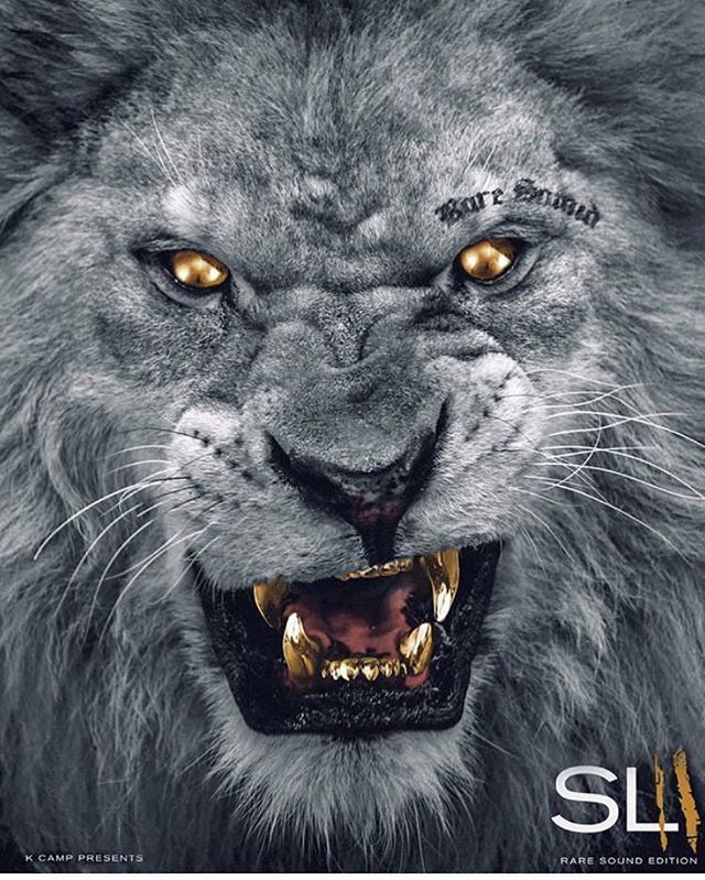 KCamp427's tweet photo. Slu〽️ Lords 2 is Out Right Now Go Get That‼️ Comment Your Fav Song 🔥 applemusic spotify mymixtapez https://t.co/wuqNPxjKwu