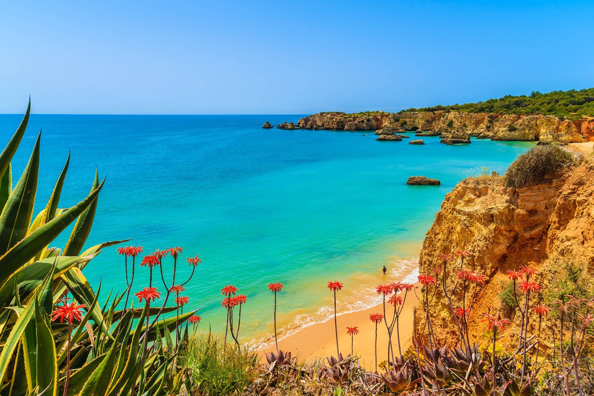 MedesTour's tweet photo. #reslestateagents & #realtors in #Portugal with https://t.co/ERXFCJyqbN lets join us #tourguide & #consultants & #guide #rojbaş #Bomdia https://t.co/7qxQqMzzsu