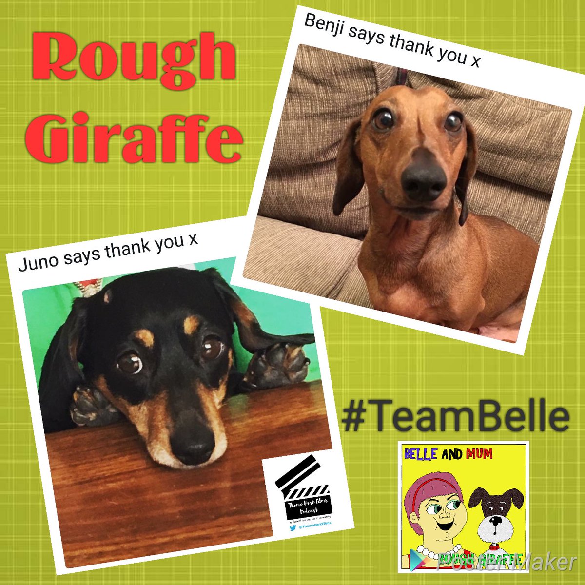 RoughGiraffePod's tweet photo. Have a furry friend you want Kipper the Wonky Cat or Belle The Lovely Dog to give a shout out to? Send us a photo. #TeamBelle #TeamKipper https://t.co/NjK4ZRWz7s