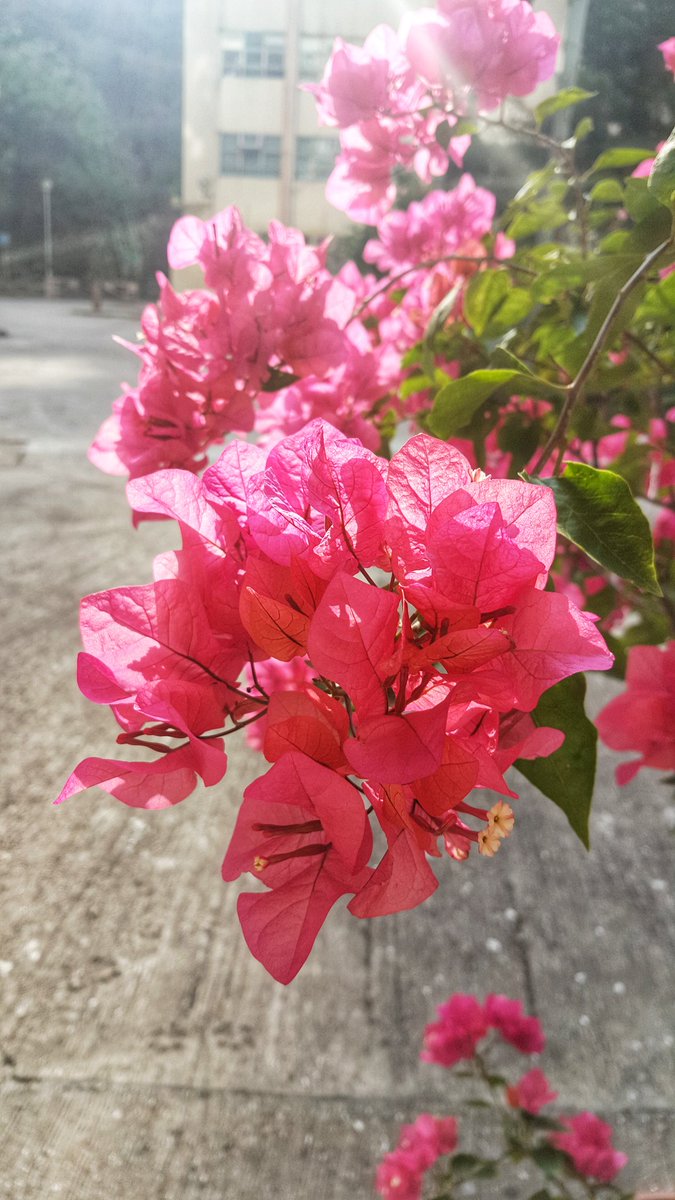 This is a tree hole. tweet media