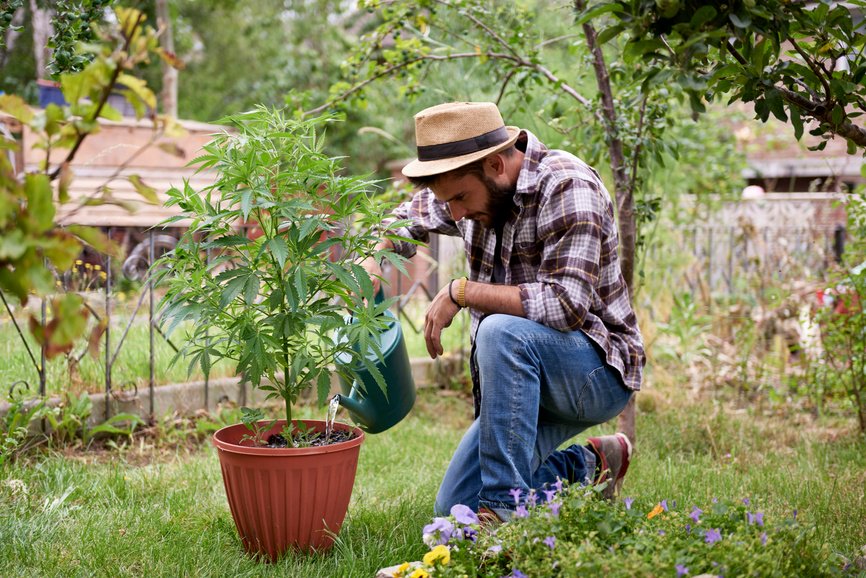searchweedguide's tweet photo. Did you know that #CBD has been proven to help with more than 50 conditions? #SearchWeedguide #cannabis #medicated #bewell https://t.co/lc3atl60wm