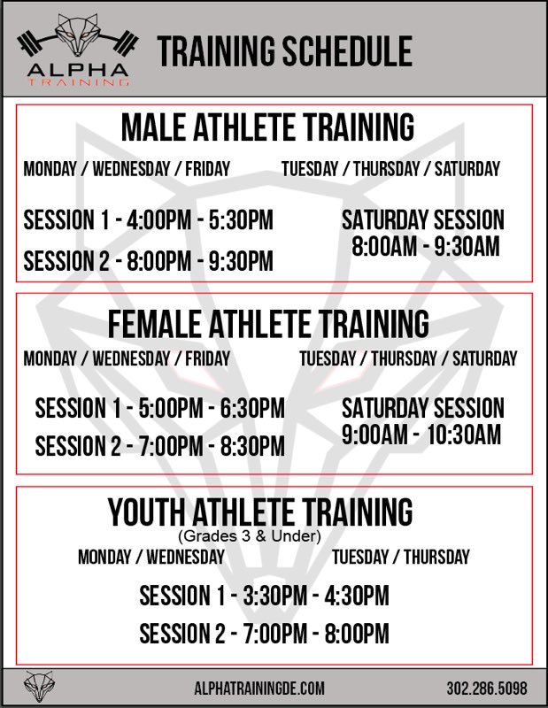 AlphaTrainingDE's tweet photo. The Off Season is coming around ! Stop in the first session is on US ! #trainALPHA https://t.co/UgDlcR3N8U