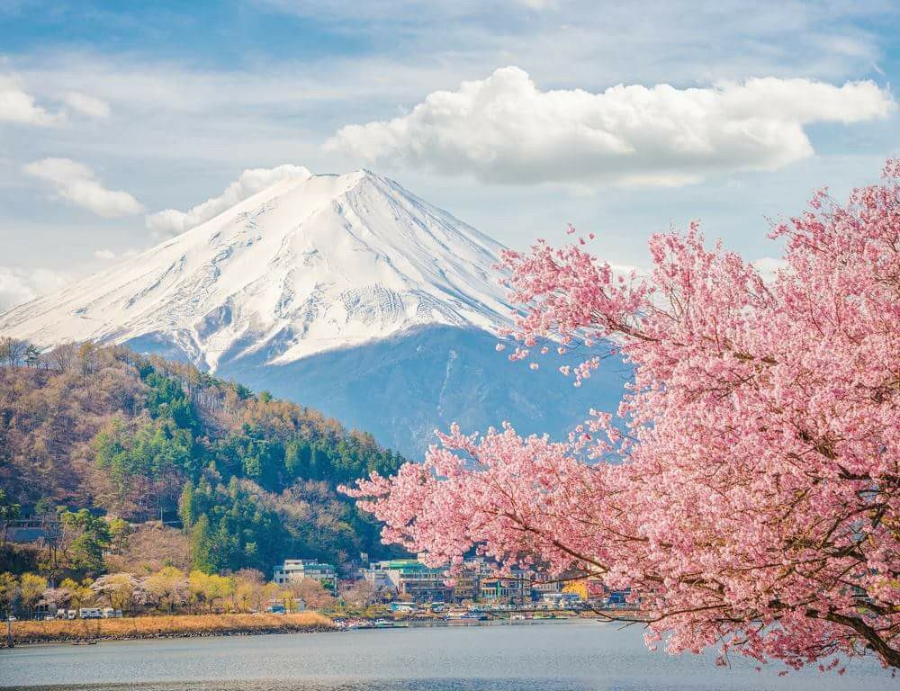 TurningJapanesa tweet picture