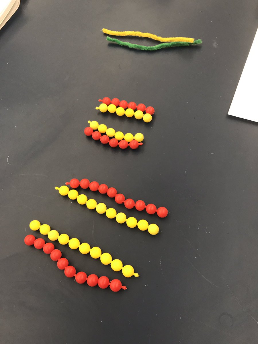 h_moh21's tweet photo. Wednesday's lab, Playing with connecting beads to understand DNA during Meiosis @NutmegSomething #BioFall17 https://t.co/zEmWhbOTUx