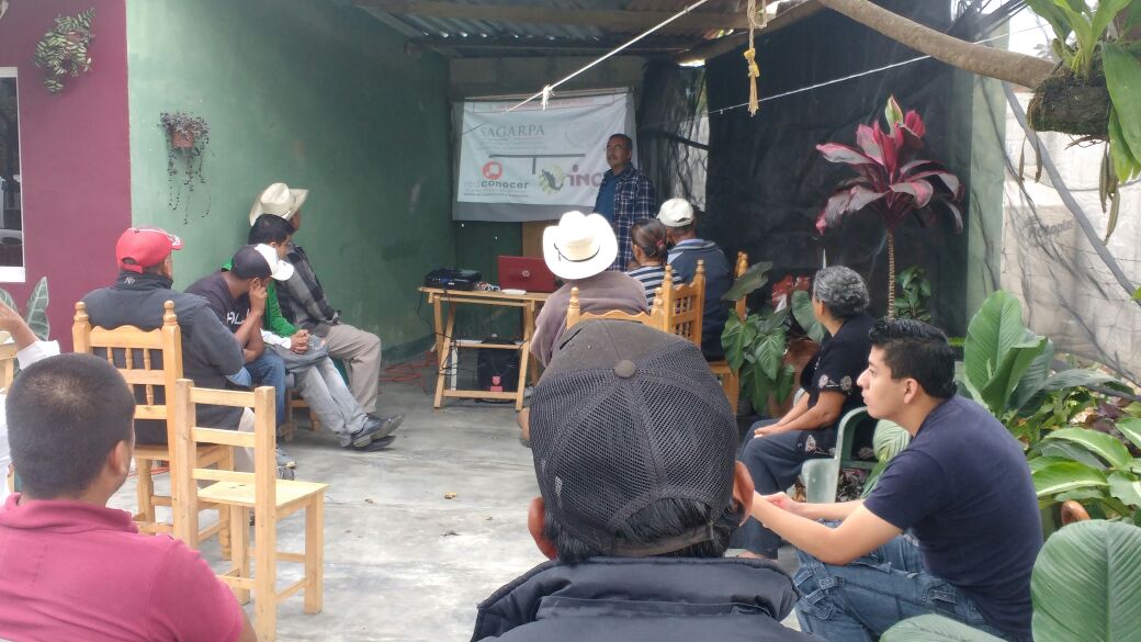 rafacoronita's tweet photo. Alineación al EC0272 Cosecha d Café a pobladores rurales d Calcahualco, Totutla, #Veracruz  @PerlaIbaez2 @Mely_Romero @LeticiaInca @linosma https://t.co/K87BDSj31Q