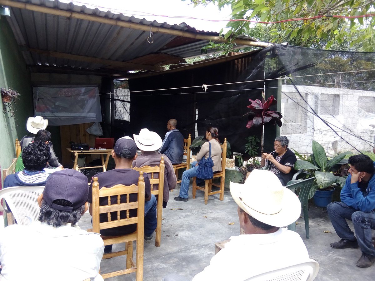 rafacoronita's tweet photo. Alineación al EC0272 Cosecha d Café a pobladores rurales d Calcahualco, Totutla, #Veracruz  @PerlaIbaez2 @Mely_Romero @LeticiaInca @linosma https://t.co/K87BDSj31Q