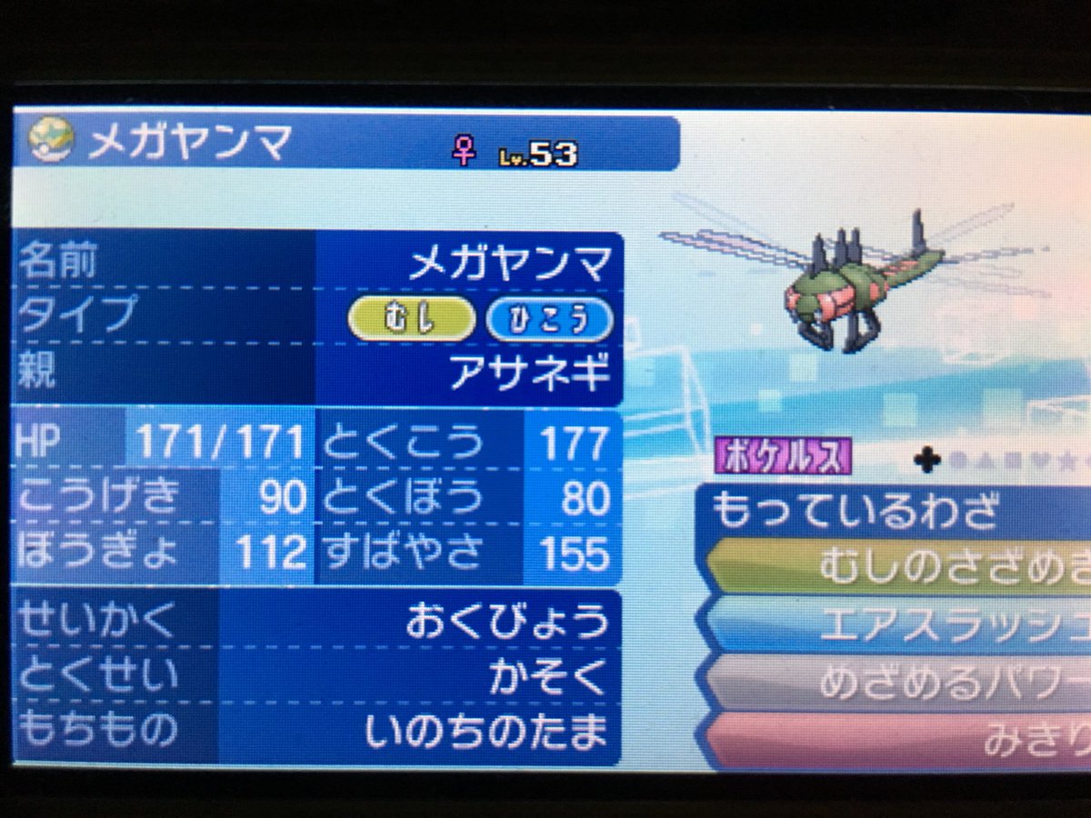 麻葱兎 アイアント בטוויטר メガヤンマ おくびょうcs振り 特性かそくにより毎ターン素早さが一段階上昇する 虫タイプ ではめずらしく特攻が高い めざめるパワーはこおりボーマンダやガブリアスの打点になる いのちのたまにより更に火力を底上げする並耐久もあり