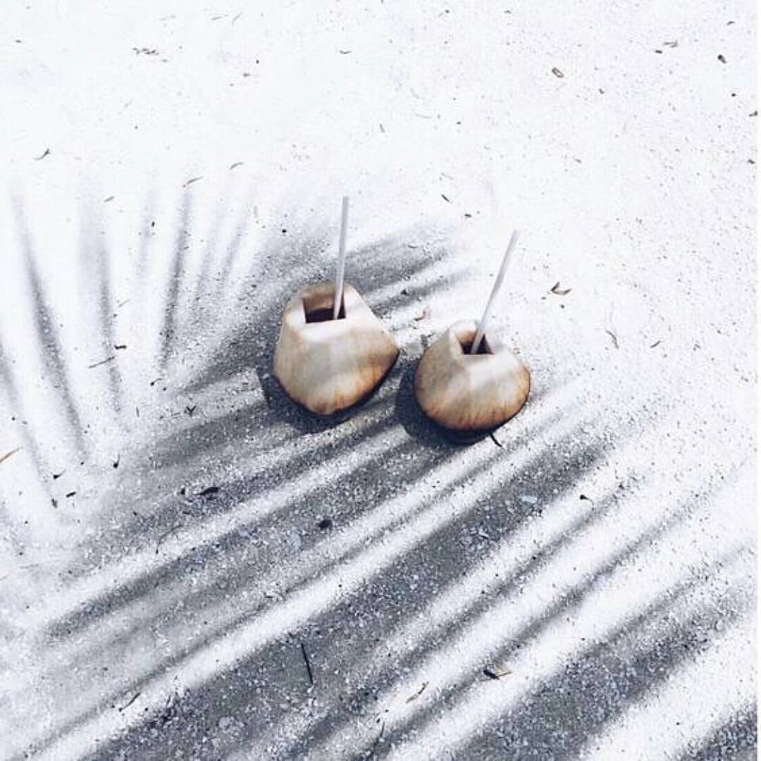 VitaCocoAU's tweet photo. "Two coconuts in palm shade" - #artistunknown Review π΄π΄π΄π΄π΄ (5/5) #artiseverywhere #artislife #art #artist #inspiration #vitacocoau #vitacoco #friday #friyay #coconut #coconutwater #eatclean #electrolytes #fit #healthy #natural #addiction #nutrition #nutsfornature #paleo https://t.co/jf49pWhoy5