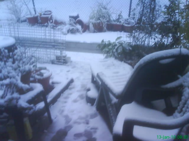 Snow #Peckham Clifton Estate SE15 13th Jan 2010