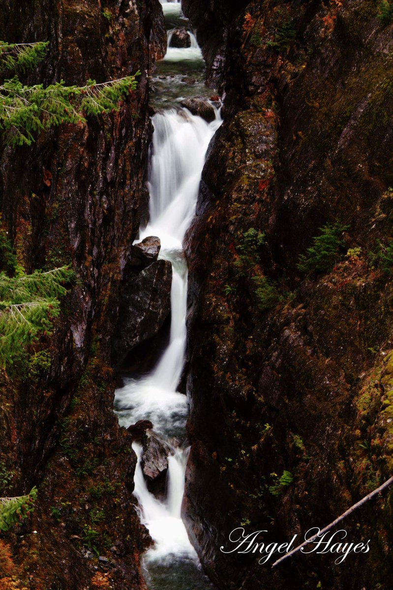 AngelHayesPhoto's tweet photo. #GorgeFallsCreek #Waterfalls #Nature #Photography #Hiking #Outdoors #Landscapes #Fall #Autumn #water #PicOfTheDay #PNW #NorthCascades #Love https://t.co/oJRg36lLyu