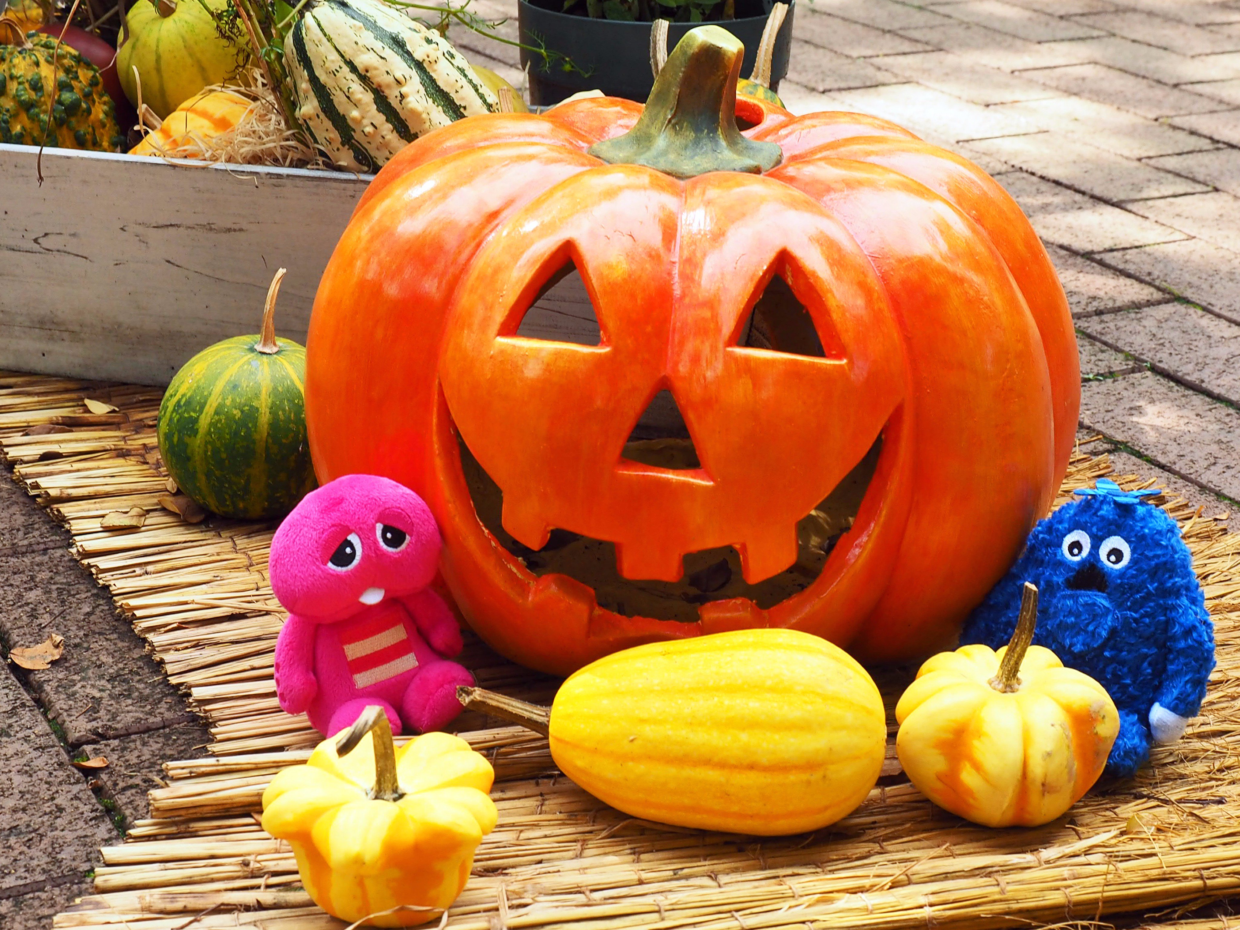 Uq ハッピーハロウィン だぞっ 今日は冷え込みますね 街中はどこもハロウィンの飾りであふれていますが みなさん ハロウィンイベント楽しまれてますか ナカの人もイベント楽しみたいです 良い一日を 今日は何の日 T Co Ce2hbyjwxt