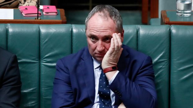 theage's tweet photo. BREAKING LIVE High Court decision Barnaby Joyce disqualified from parliament over NZ citizenship https://t.co/669gD7kSng https://t.co/CmsGH3my7G