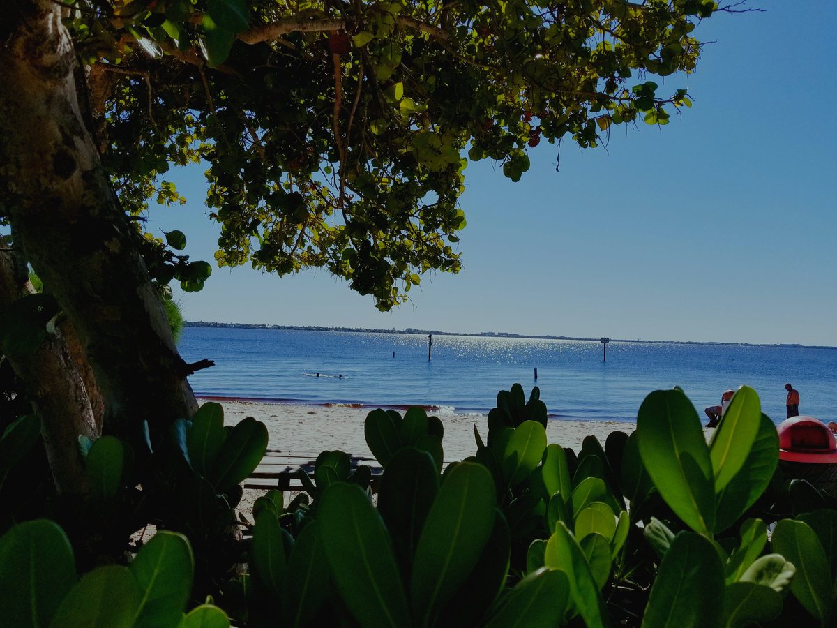DonaldHazlett1's tweet photo. #SWFL #CapeCoral #Florida #Beachlife #Beachisopen https://t.co/4y2tx9BtII