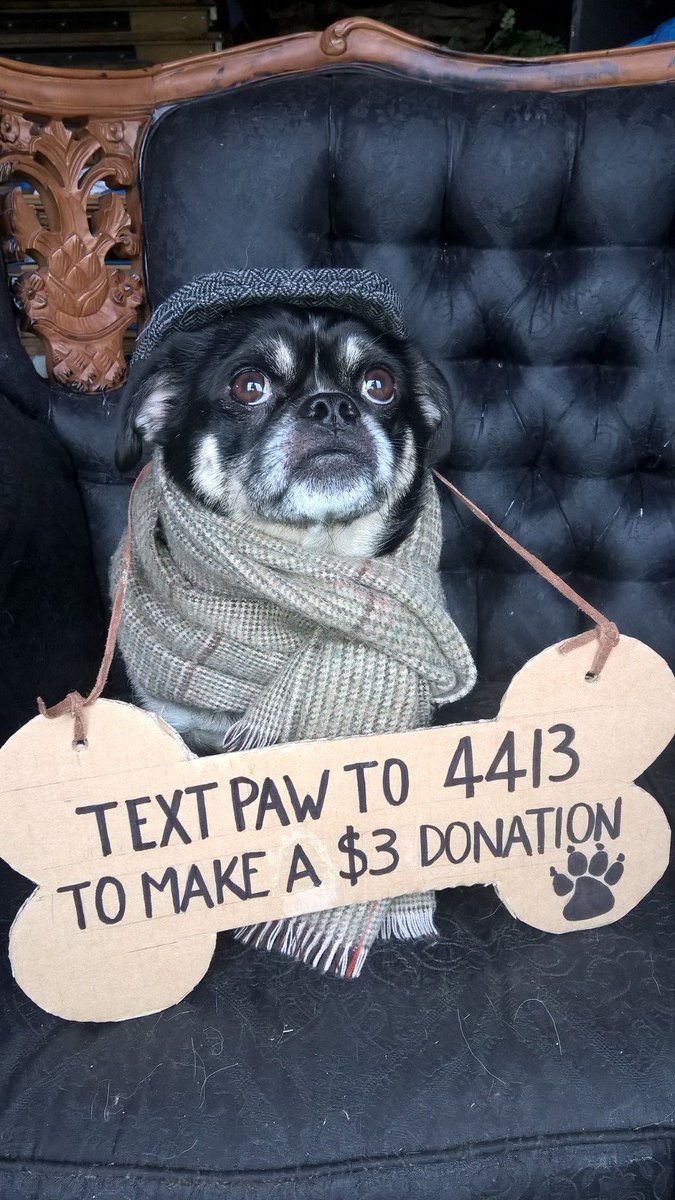 missypayne99's tweet photo. Paw Justice Does amazing work helping rescue animals! Please txt paw to 4413 to make a $3 donation #PawJustice https://t.co/HsLrxCODQC