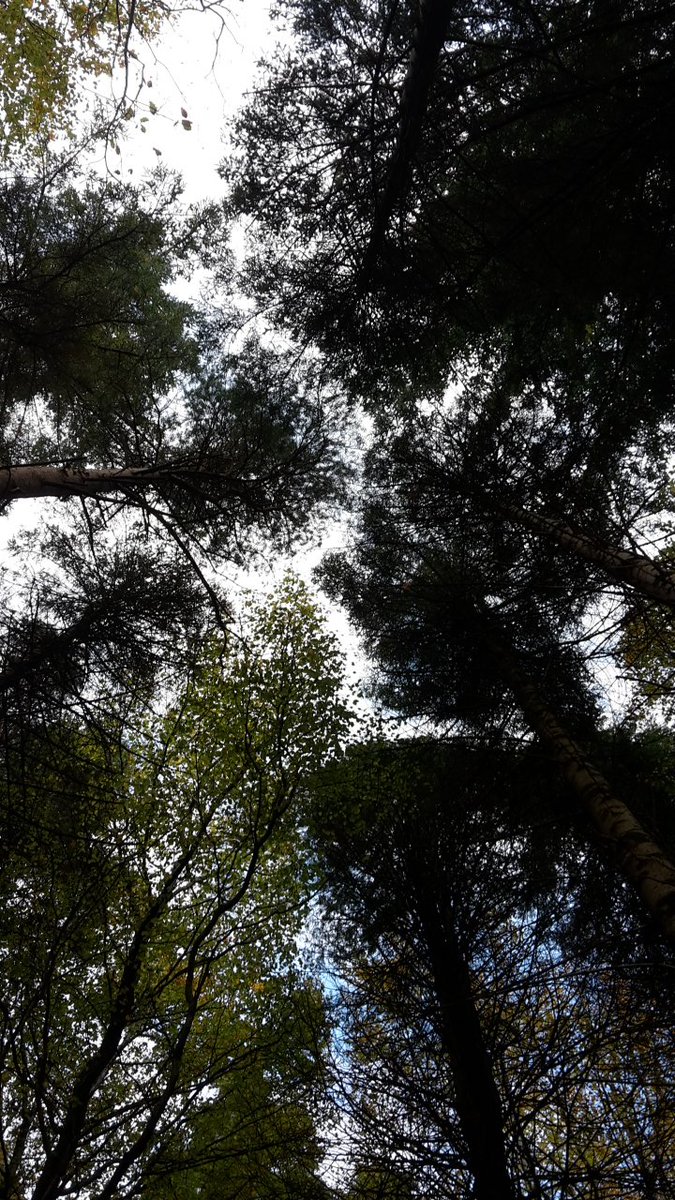 outdoorsligo tweet picture