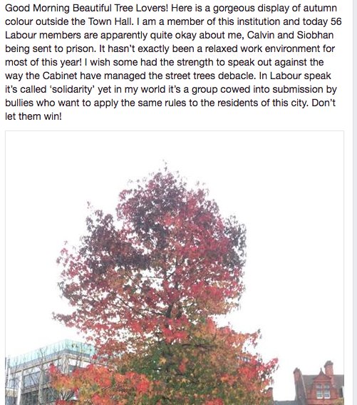 alisonclareteal's tweet photo. @GeorgeMonbiot @GreenJennyJones @jon_bartley @jonathonporritt @natalieben @CarolineLucas @SheffTreeAction @TheSadSquirrel @SheffieldGreens https://t.co/1SyM7XRf5d