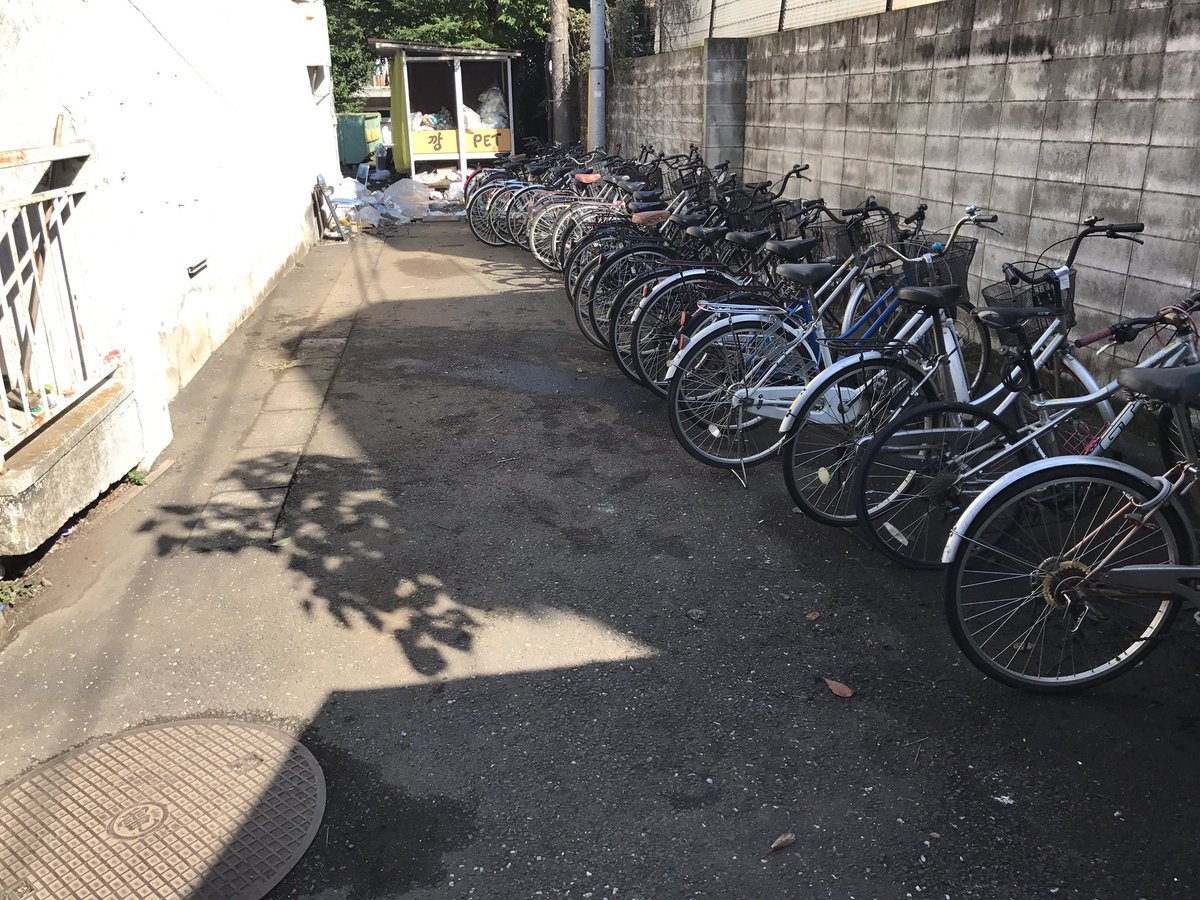 yellow_keiei's tweet photo. 【미풍창조!!】
3年生がソン・チャンホ生活部長を中心として駐輪場をきれいに掃除・整理しました‼︎
앞으로도 우리 것을 가장 귀중히 여기며 우리 조선대학교를 빛내여나갑시다!! https://t.co/ggxoCBLC61