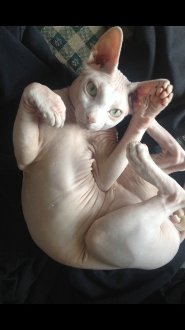 @GCPINick @Kota_Morgue Gotchu https://t.co/ecEtG2QawL<a class="tags" target="_blank" title="On Twitter" href="/?out=eyJ0eXAiOiJKV1QiLCJhbGciOiJIUzUxMiJ9.eyJpYXQiOjE3MjM3NzEwMzMsImlzcyI6InR3cG9ybnN0YXJzLmNvbSIsIm5iZiI6MTcyMzc3MTAzMywiZXhwIjoxNzU1MzA3MDMzLCJyZWRpcmVjdF91cmwiOiJodHRwczovL3R3aXR0ZXIuY29tL0dDUElOaWNrIn0.ow8xat9H_XGWa0uvN0zRLvYJKFuDFz9qOzV7dOv_en5HRW6joxX3s7ZxOISYO5jSzz-YleOWDl1pyb2hN1oA_A">@GCPINick</a><a class="tags" href="/tag/kota_morgue">@kota_morgue</a><a href="/tag/mytwitteranniversary"class="tags"><span>#mytwitteranniversary</span></a>