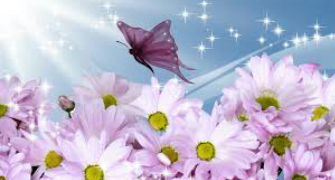 Allah'ım ! Bana kendi sevgini ve senin yanında sevgisi bana fayda verecek kimsenin sevgisini ver...
___Hz.Muhammed (s.a.v)__
HAYIRLI CUMALAR