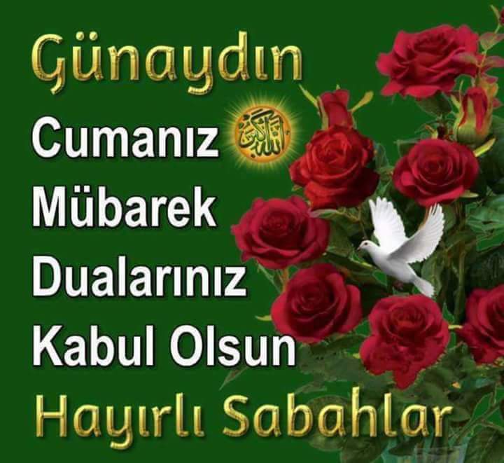 MustafaSeniha's tweet photo. Yağmur toprağın
Güneş toprağın duasidir..
Benim duamda 
Sevdiklerimin
Hep mutlu olmasidir..
Hayirli cumalar..
Günaydınlar🌺🌺.. https://t.co/Llx33IcqV0