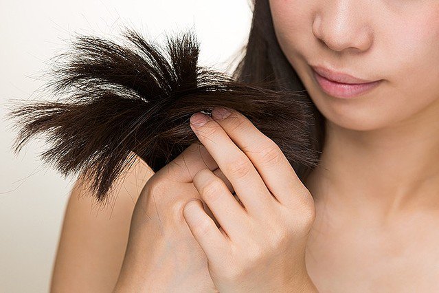 黒染め強要に疑問の声 高3女子 大阪府を提訴