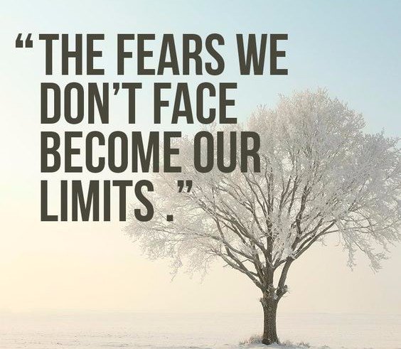 The fears we don't face become our limits. #PaulBola #Entrepreneur #OverComeFears