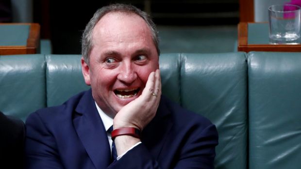 news24tvchannel's tweet photo. Australia Deputy PM disqualified from office #AussiePM #Disqualified https://t.co/1Cw5h004j5 https://t.co/IW236eB9p3