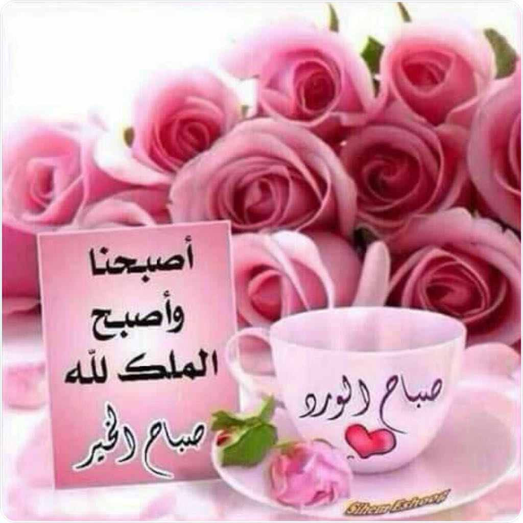 faiza12371's tweet photo. @musaad_ss @suobia @jewelry_al @NasserAlsubae @nasser89p @mohammadalanzem @almtatrsh986 @M1XgZEIM1OdqRzK صباح التوكل على الله https://t.co/J6KxA4gqsv