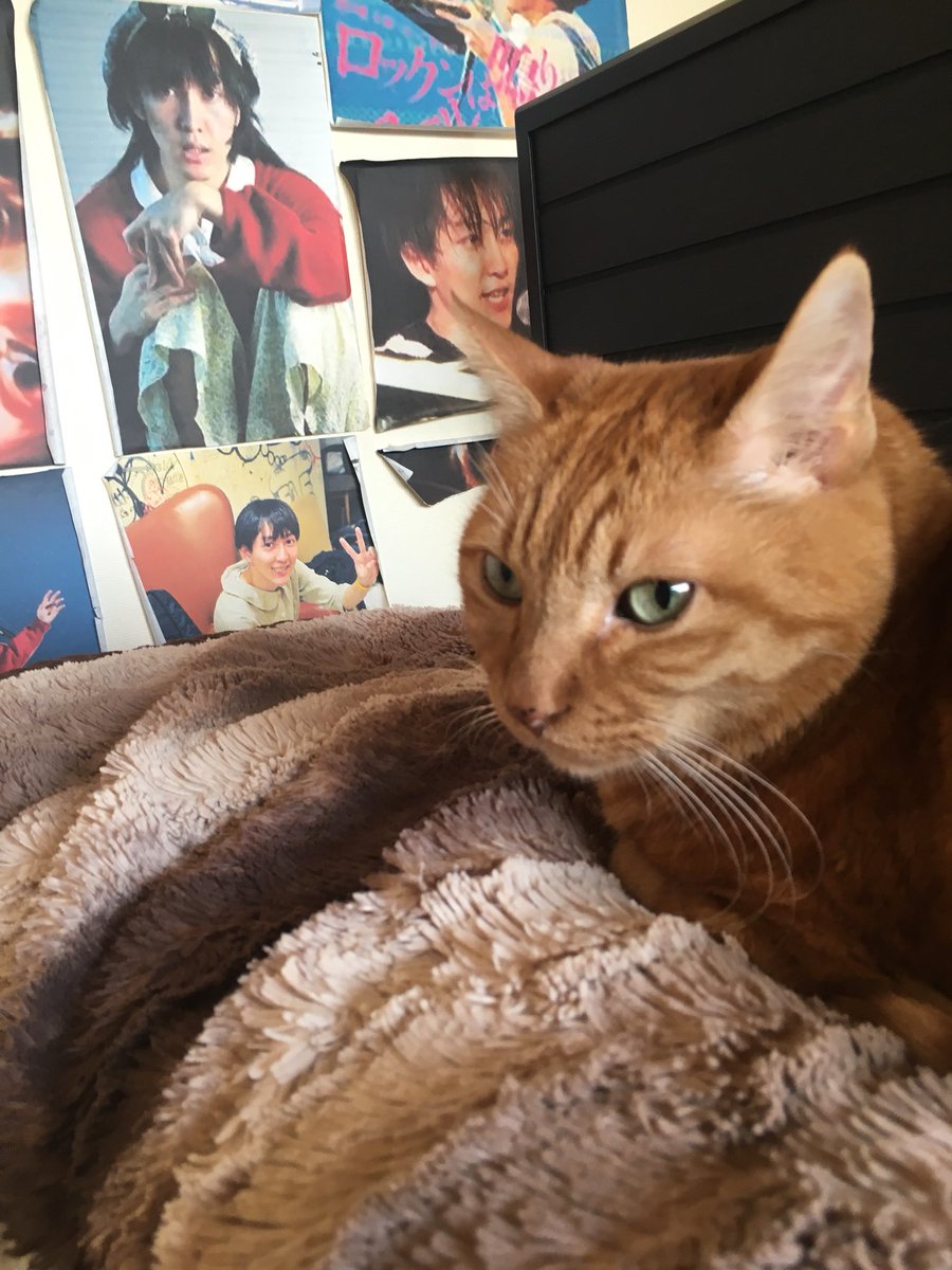 僕はぬいぐるみ