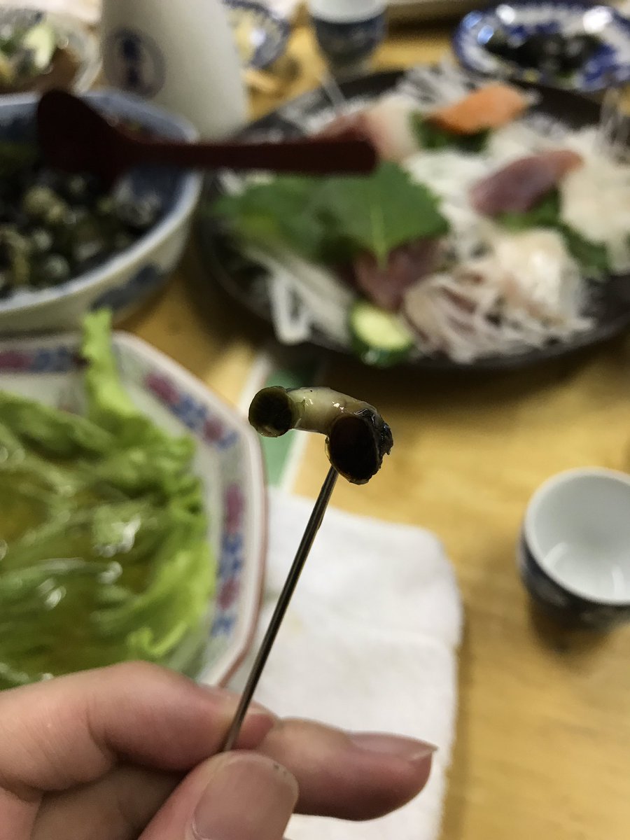 黒瀬陽平 ニナ貝はマイゴと似た味 マイゴは皿鉢料理の定番だけど ニナ貝はあんまり食べないな 黒瀬陽平 ニナ貝はマイゴと似た味 マイゴは皿鉢料理の定番だけど ニナ貝はあんまり食べないな