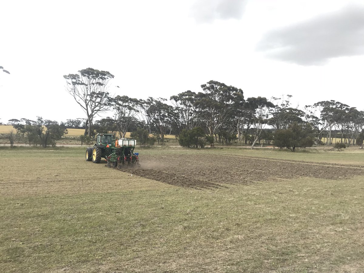 Cassidy Chambers tweet media