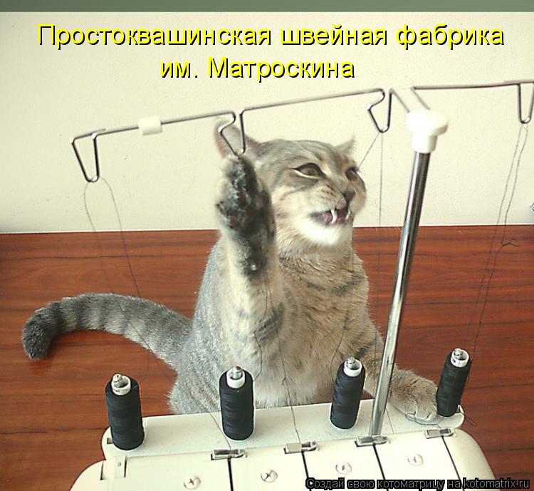 Открытки куме, швейные картинки прикольные