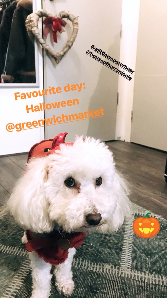 Harry_Nicole_'s tweet photo. Absolutely buzzing @greenwichmkt today! See you there for heaps of spooky fun 🎃😍 https://t.co/oKCmUM8CT2