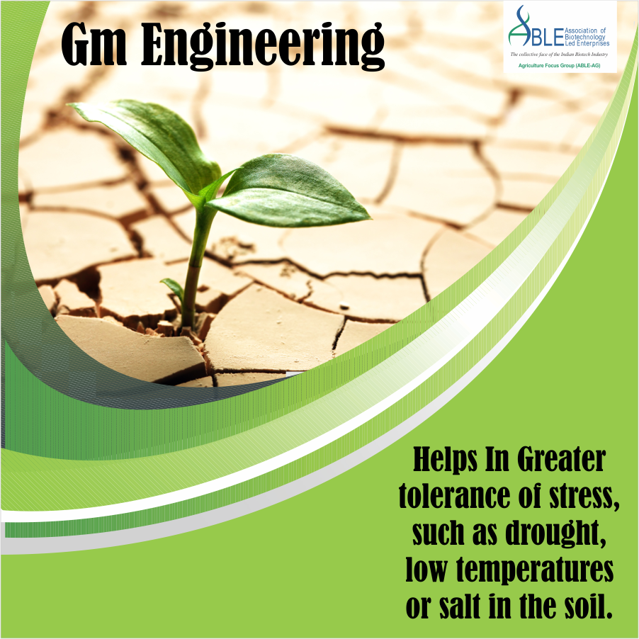ABLE_AG's tweet photo. Genetically modified crops have become popular as it is good for the farmer as well as the environment.#AbleAg https://t.co/oZJeISm0CS