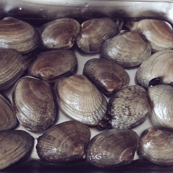 あさり 高画質 のtwitterイラスト検索結果 古い順