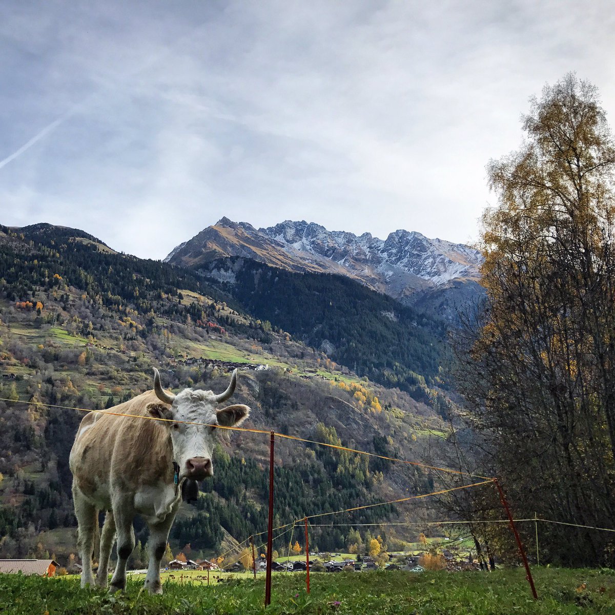 RallyeSportMed's tweet photo. Ce week-end, nous sommes en Suisse pour le #RallyeDuValais 🇨🇭 https://t.co/0x7RKVnEa3
