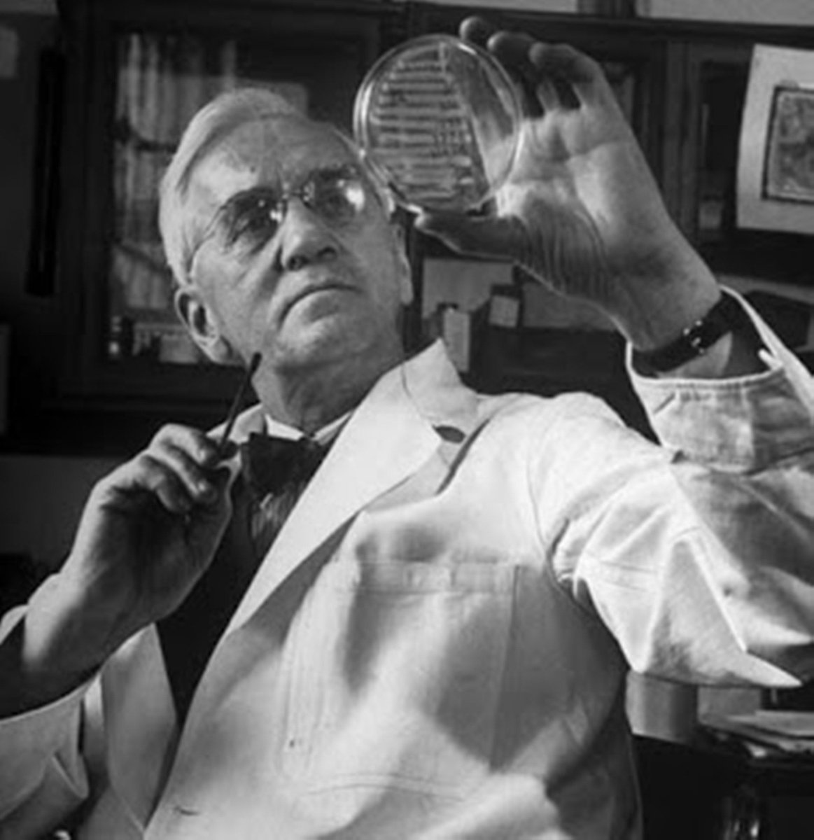 gkquizblog's tweet image. Penicillin Discovered by Alexander Fleming 1928 generalknowledgequizblog.com/2017/07/penici… #penicillin #generalknowledgequizblog #alexanderfleming #competitive