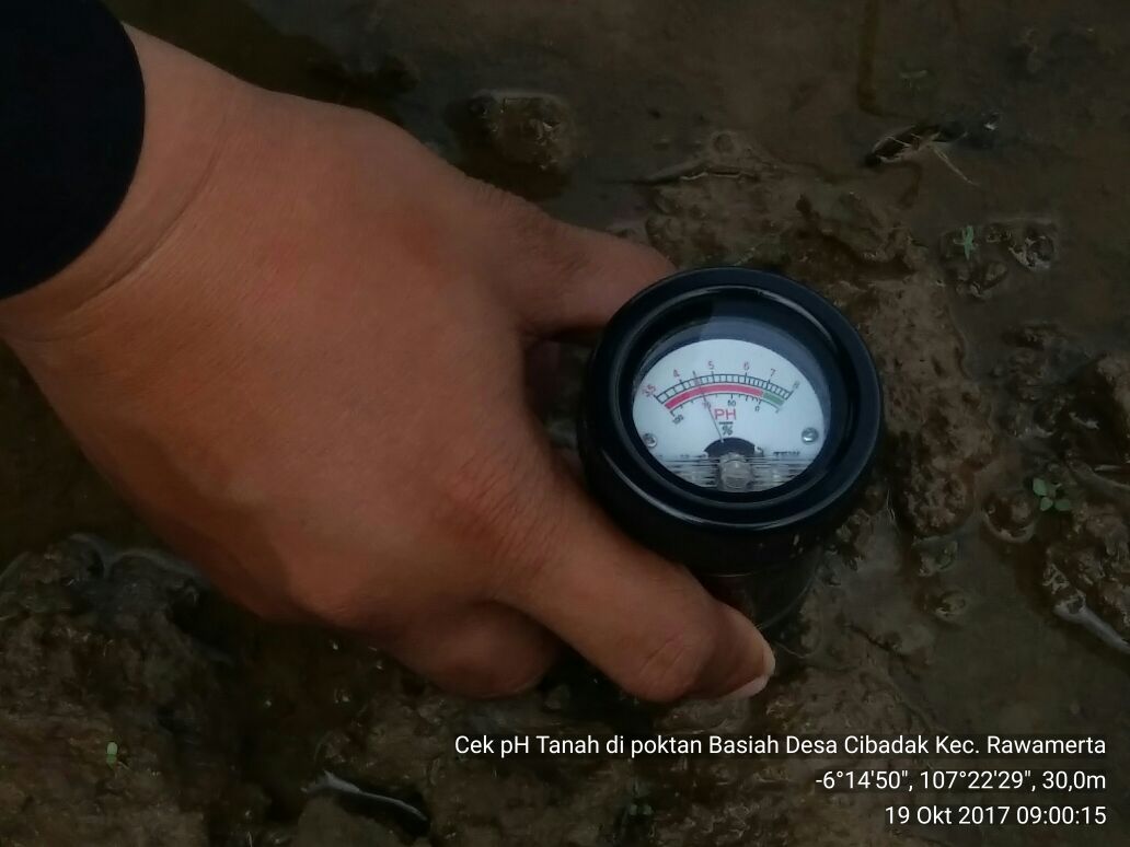 ditlin_tp's tweet photo. Kegiatan Cek pH tanah,, di hamparan lokasi Dem Area Budidaya Tanaman Sehat, Kec. Rawamerta, Karawang. Dem Area 👍👍@Ditjen_TP_News @kementan https://t.co/YLDaIMqfDb