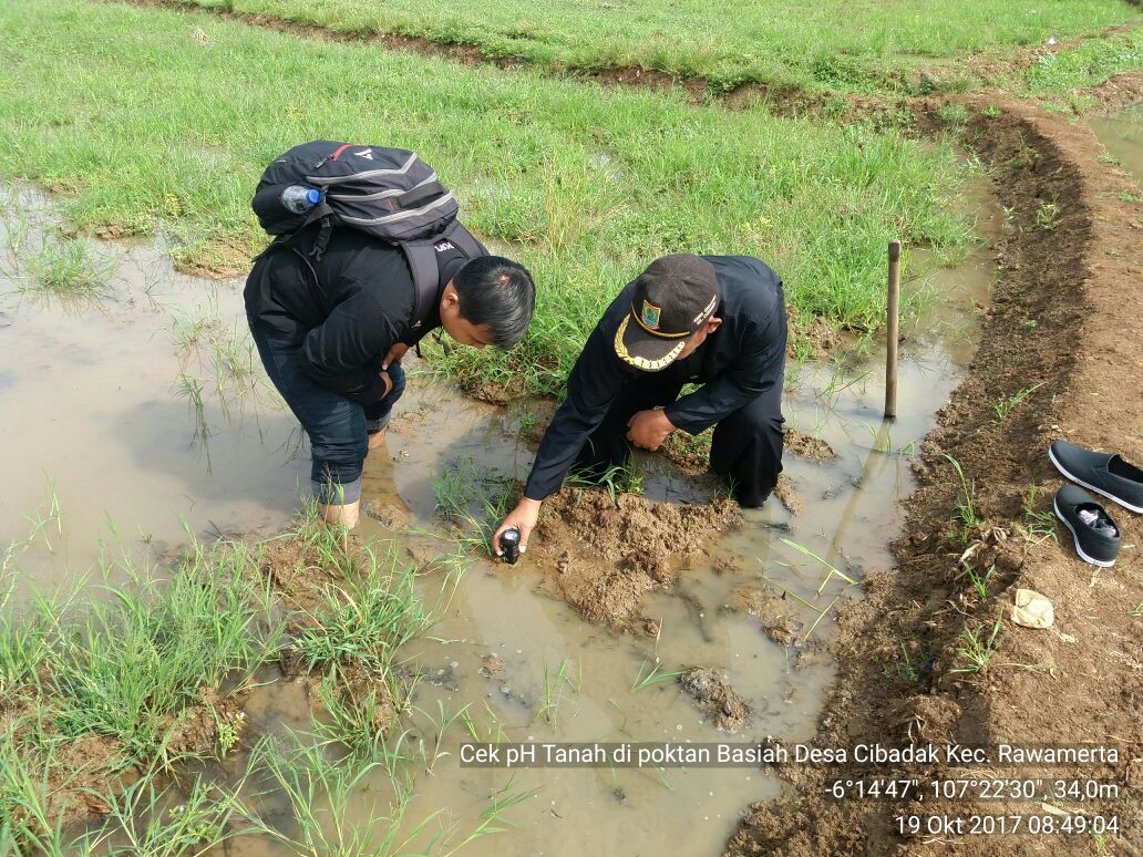 ditlin_tp's tweet photo. Kegiatan Cek pH tanah,, di hamparan lokasi Dem Area Budidaya Tanaman Sehat, Kec. Rawamerta, Karawang. Dem Area 👍👍@Ditjen_TP_News @kementan https://t.co/YLDaIMqfDb