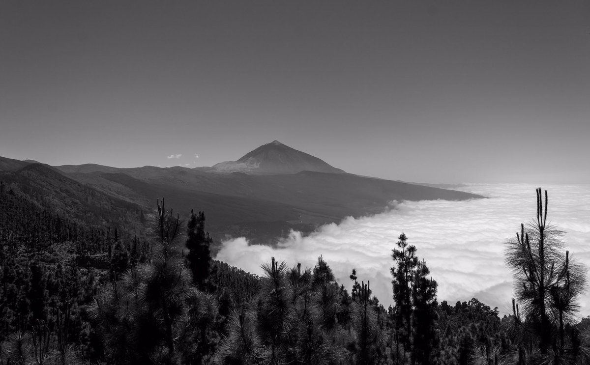 goetzkeller's tweet photo. ..and dangle our feets into the clouds

#photography #blackandwhitephotography #blackandwhite #landscape #travel #nature #teide https://t.co/bpXIrG8PqM