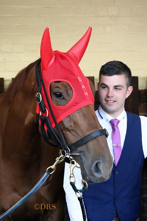 DarrylSherer's tweet image. Game Face
#VegaMagic @JohnnyCusk