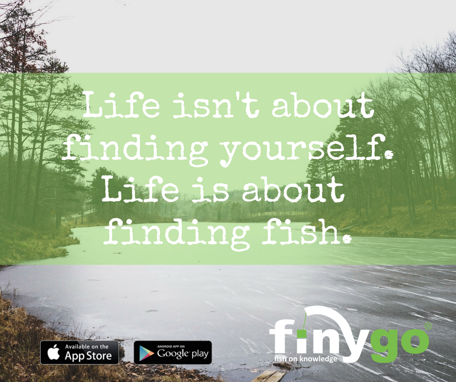 finygo's tweet photo. We're lost when we're not out finding fish! #FishQuote #fishing #quote https://t.co/Tb6Lts33YY