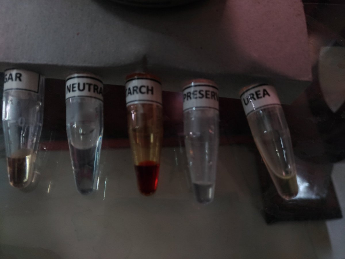 KaulaBhairav's tweet image. Apparently, one can test for adulterated milk in home in less than 5 minutes and for 60 rupees. Vrindavan goshala milk is ok. #nerdscience