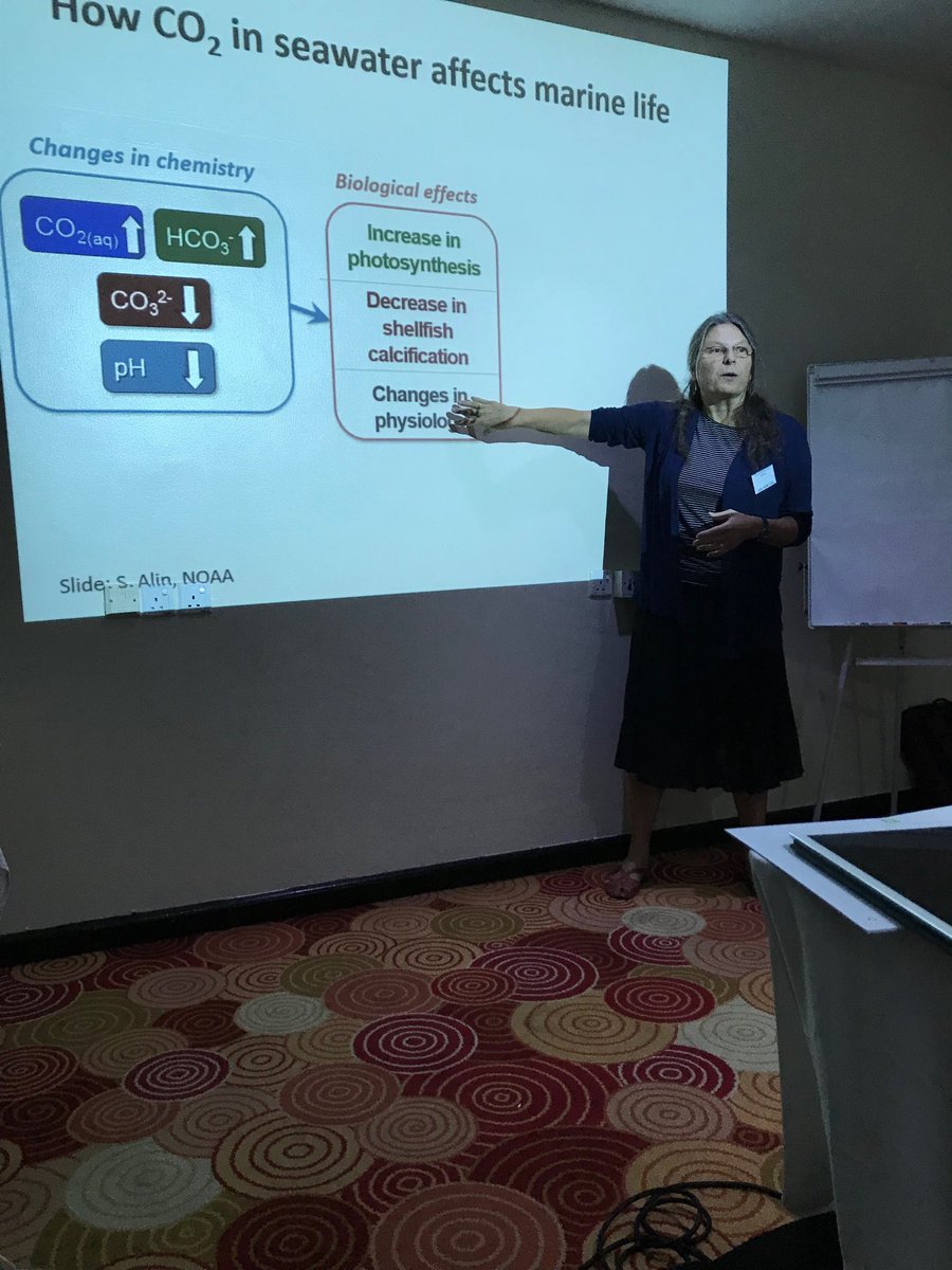 DixonWaruinge's tweet photo. Jan Newton from Ocean Acidification (AO) Observation Network, explaining impacts of OA in our oceans in Dar 27 oct. https://t.co/ifea3TL0Yz