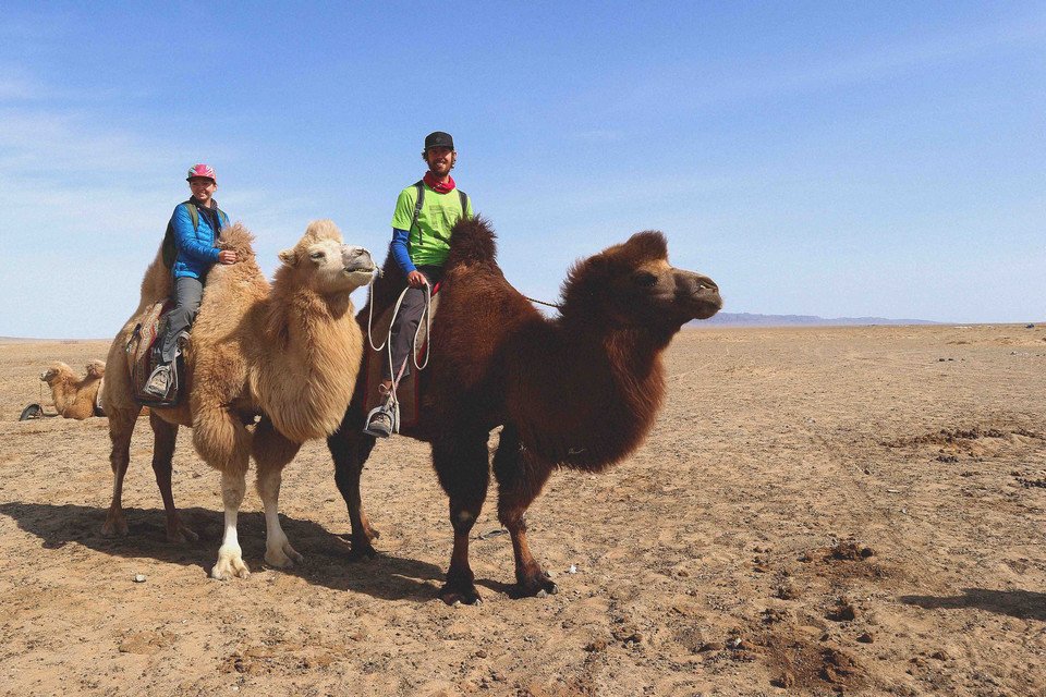 studio_mali_hey's tweet photo. Watch out internet it’s.... camel time (said like MC Hammer) #cameltime #mongolia #gobidesert #gotthehump #twohump #studiomali #travelfriend https://t.co/zOssCCjMAW