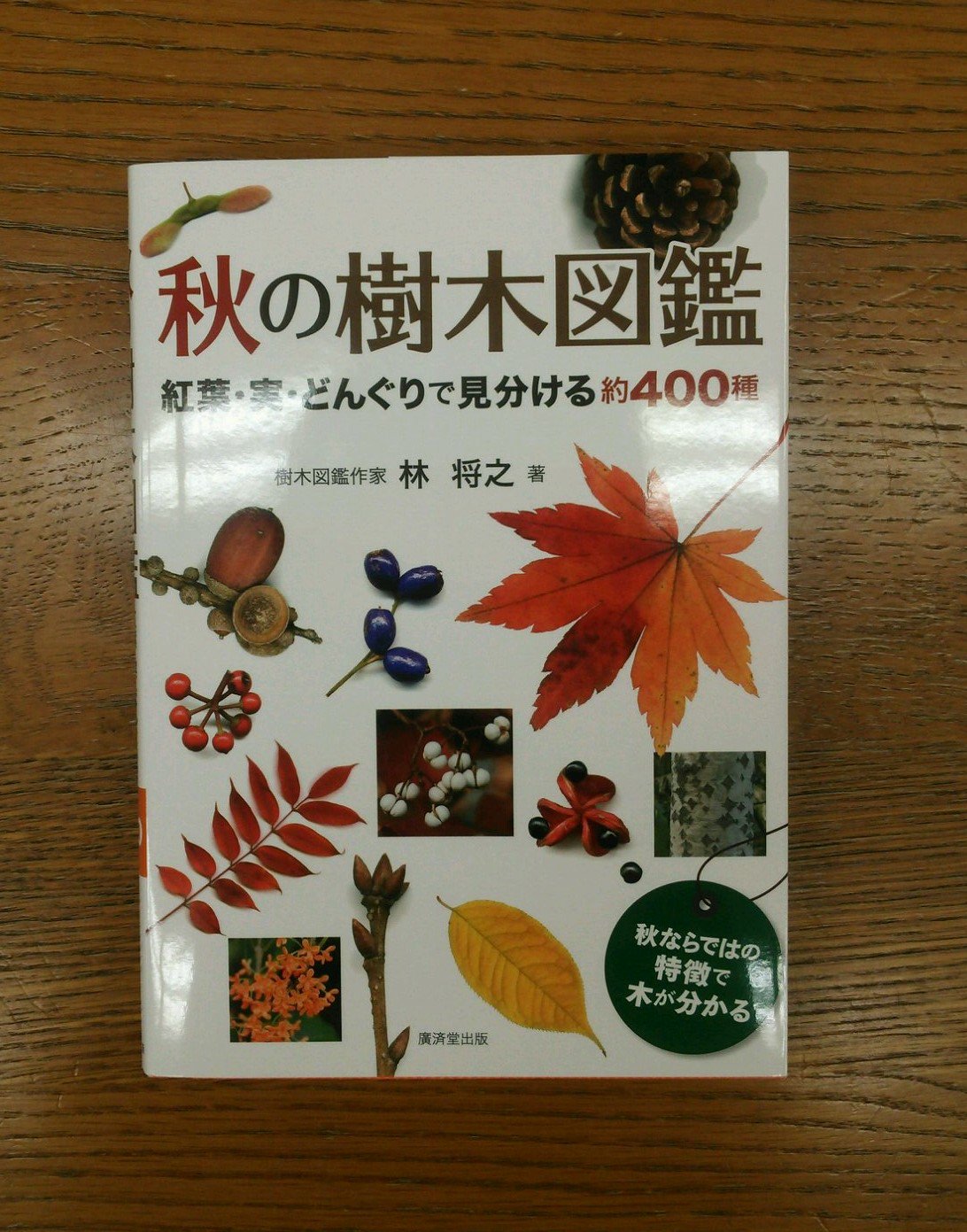 ジュンク堂書店 名古屋店 Sur Twitter 理工書 秋のお散歩におすすめの新刊です 実 紅葉 冬芽 樹皮など落葉樹 常用樹の秋の樹木 の見どころを満載の図鑑 林将之著 秋の樹木図鑑 紅葉 実 どんぐりで見分ける約４００種 廣済堂出版 紅葉一覧表や