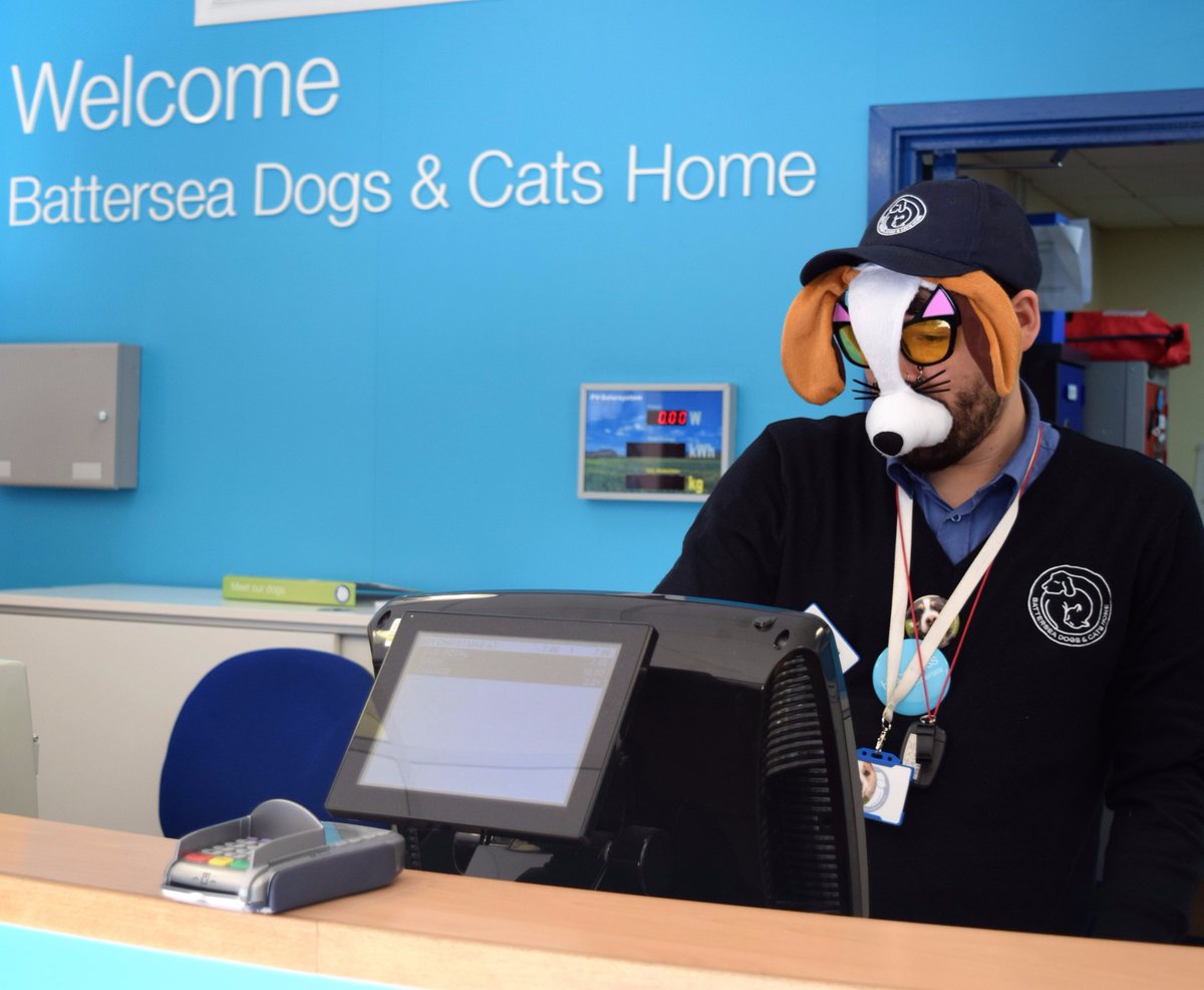 Battersea_'s tweet photo. Just another day at Battersea... Just kidding, it's #WearYourWhiskers day! 😺🐶 

We'd love to see your photos! (and don't forget to donate) https://t.co/adMUCrx1Cg