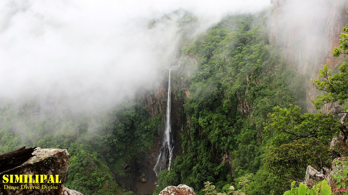 A #scenicview of  Joranda waterfall in the #similipalWildlife #Sanctuary situated in #STRBaripadaDivision. #Odisha #Wildlife #beauty #environment #waterfall #water
