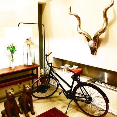ColonyCycles's tweet photo. The perfect accessory to any home. #ColonyCycles #Bike #Lifestyle #CapeTown https://t.co/P703S7BlcZ