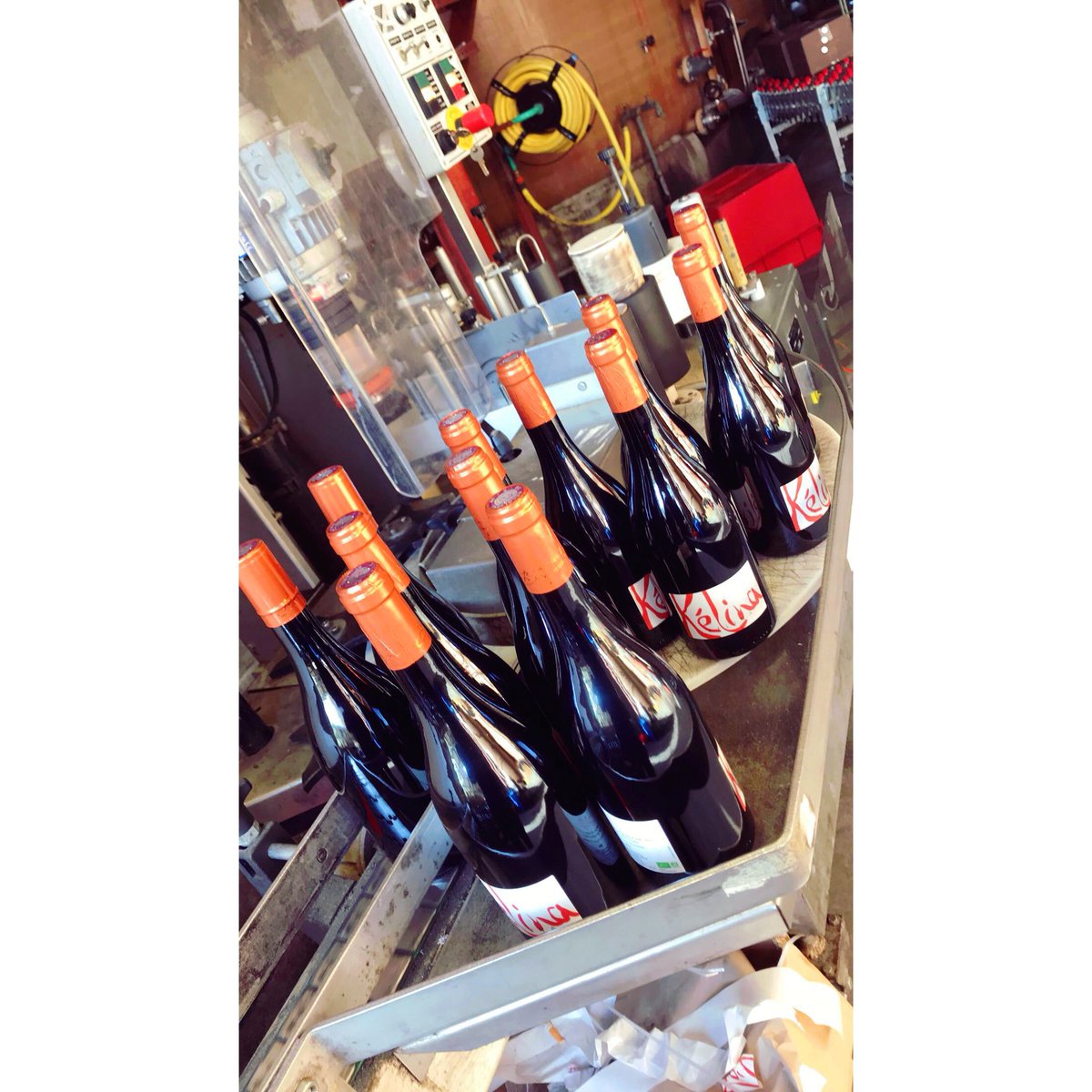 ChateauBoujac's tweet photo. Le Kélina est de retour au @ChateauBoujac !!
#cuvée2016 #Kélina #chateauboujac https://t.co/NBzQ6WMlQd